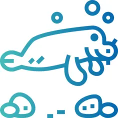 海牛