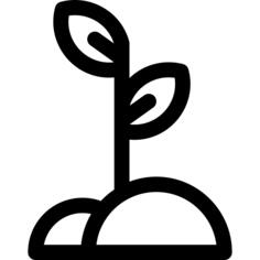 Sprout