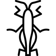 蚱蜢