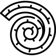 Nautilus