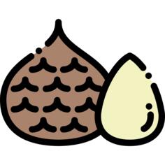 水果