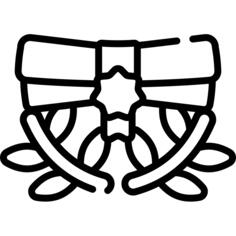 文凭