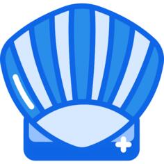 Seashell