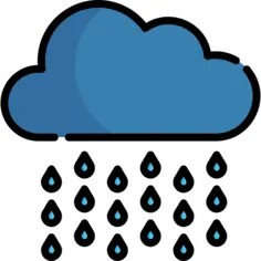 雨