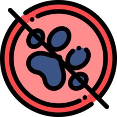 没有宠物