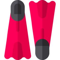 Flippers