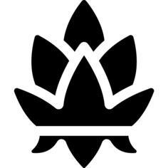 Lotus flower