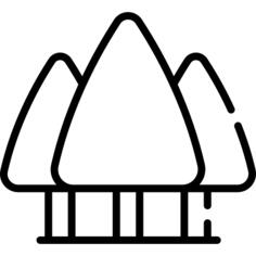 Trees