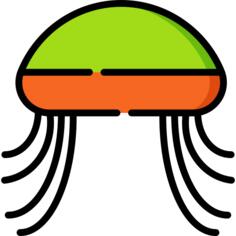 帽子