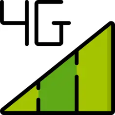 4g