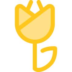 Tulip