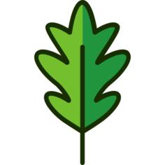 Leaf