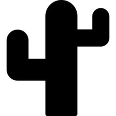 仙人掌