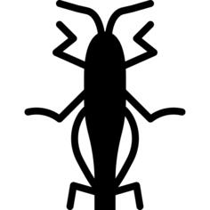 Grasshopper