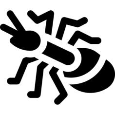 Ant