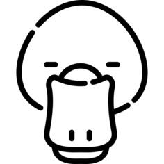鸭嘴兽