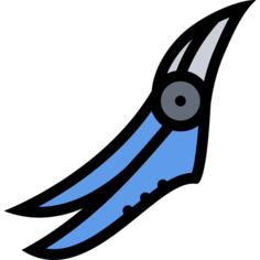 Secateurs