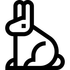 Chocolate bunny