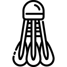 羽毛球