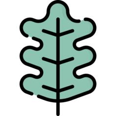 橡树叶