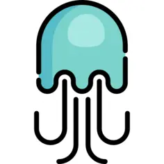 Jellyfish