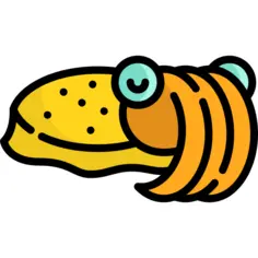 Cuttlefish