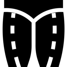 Legs