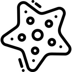 海星