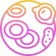 细胞