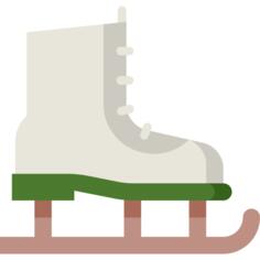 Ice skates