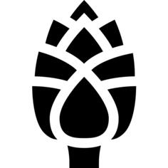 Artichoke