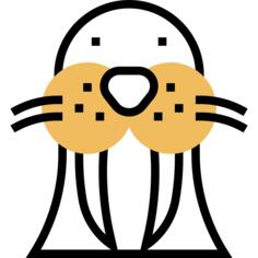 Walrus