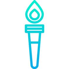 Torch