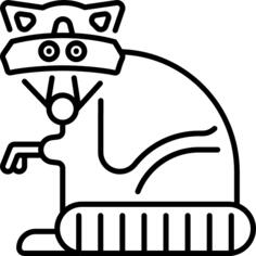 Racoon