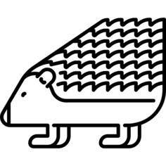 Hedgehog