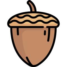 Acorn