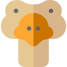 Ostrich