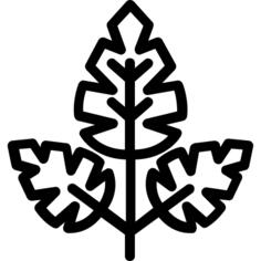 Leaf