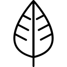Leaf