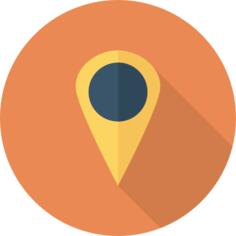 Pin