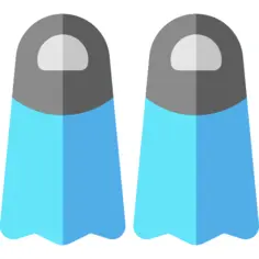 Fins