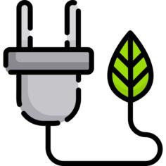 Plug