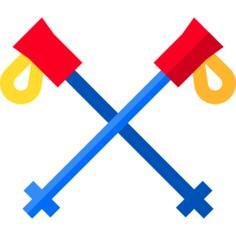 Ski poles