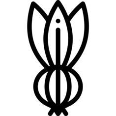 Onion