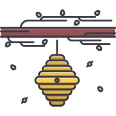 Hive