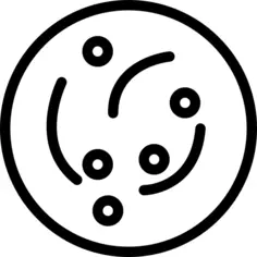 Petri dish
