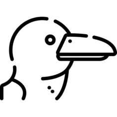 Albatross