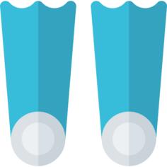 Flippers