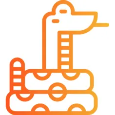 Snake