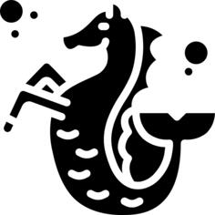 Seahorses
